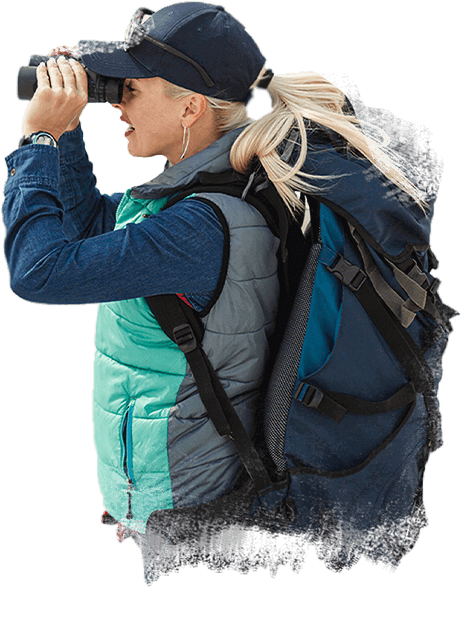 5ce55687 image 2 1.png